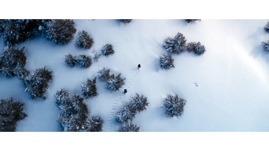 White Hell - Eiskalte Jagd
