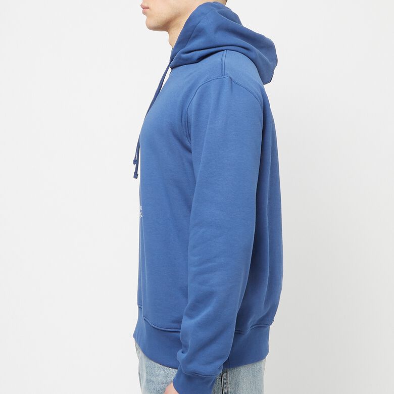 Polo Ralph Lauren Bear Fleece Hoodie beach royal blue
