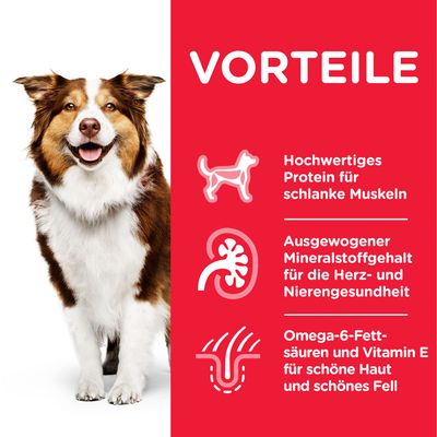 Hill's Science Plan Mature Adult 7+ Medium mit Huhn