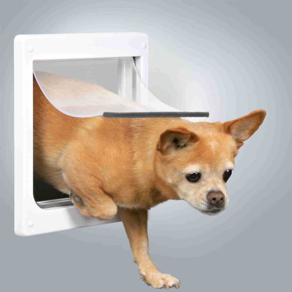 Trixie Türschutzgitter & Hundeklappen Trixie 2-Wege Freilauftür XS–S