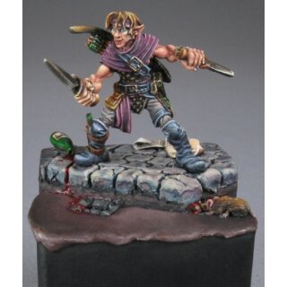 Dilean Softstep, Half Elf Rogue (REA03257)