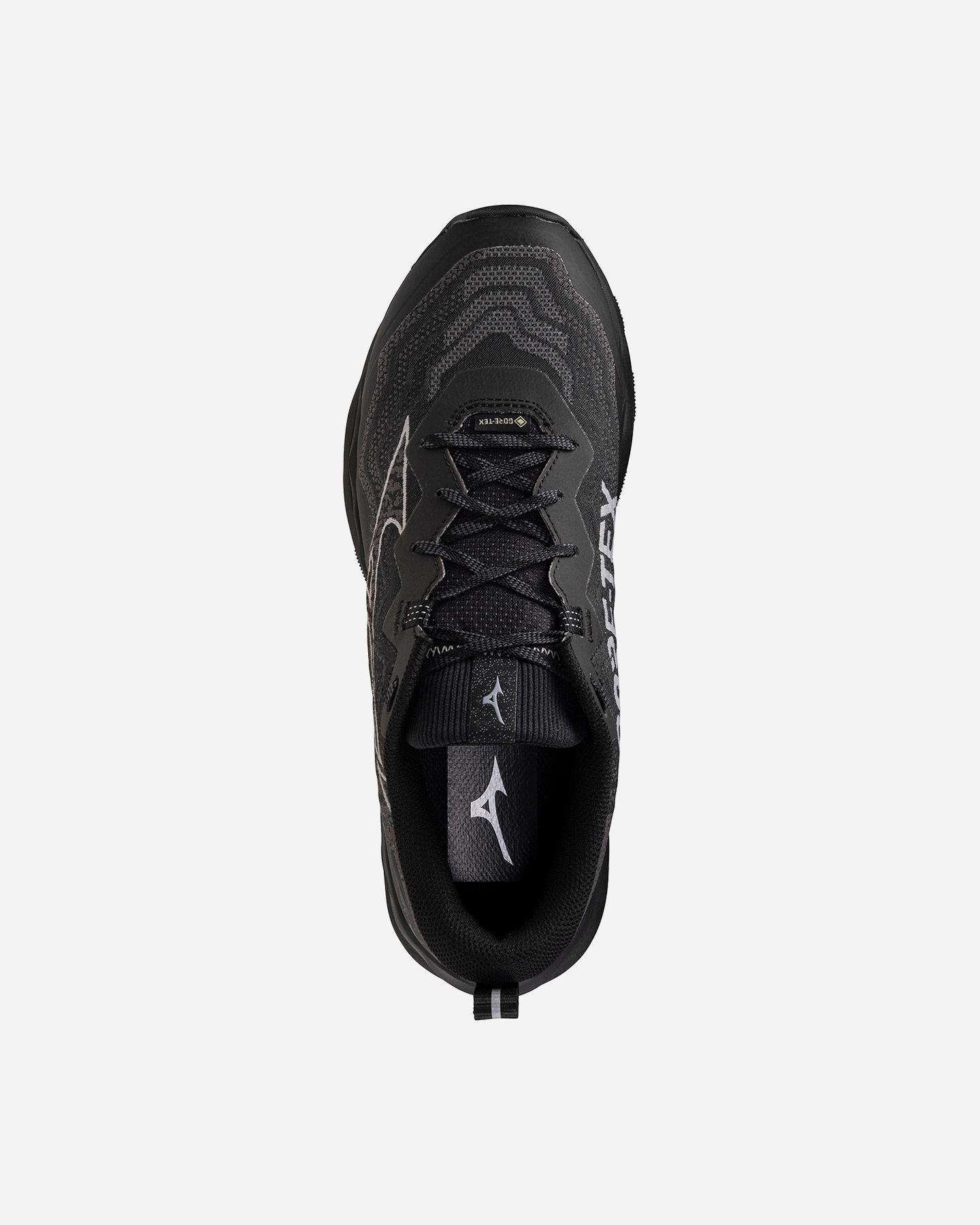 Scarpe Trail Mizuno Wave Daichi 9 Gtx M J1GJ2556-01