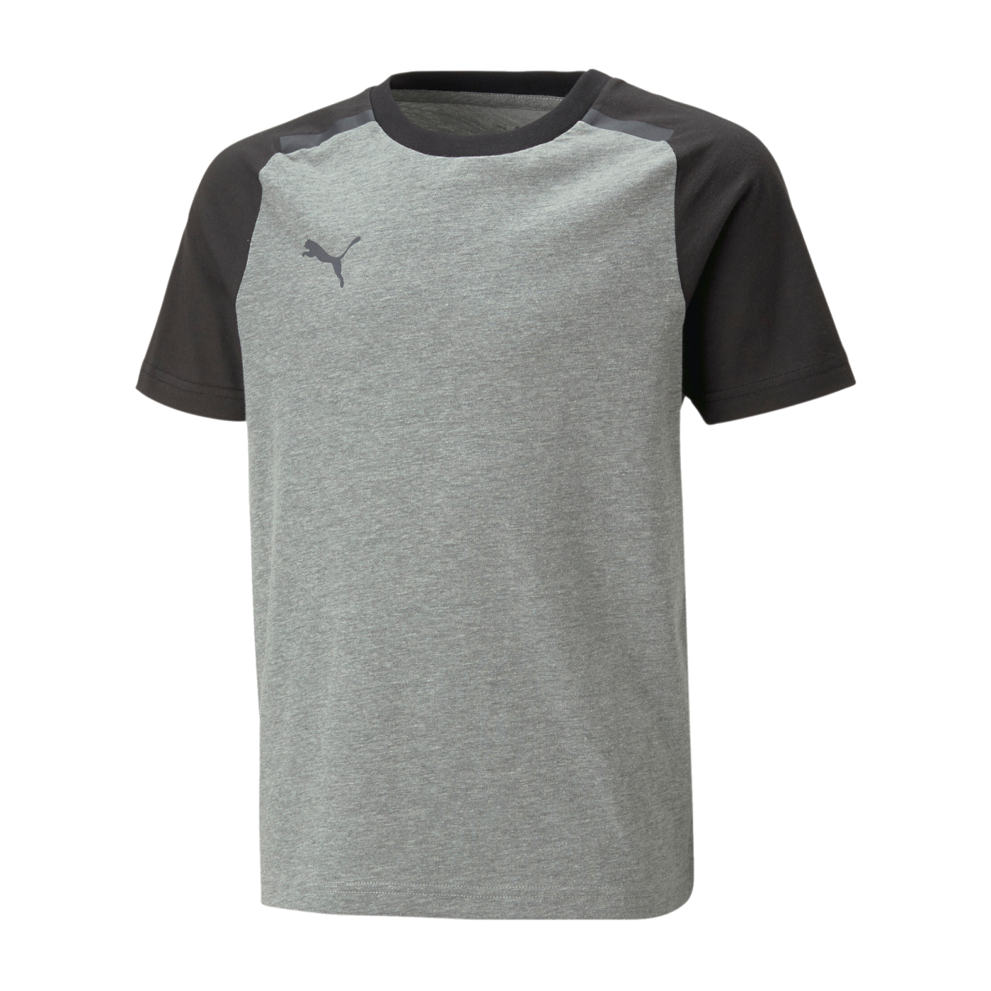 PUMA teamCUP Casuals T-Shirt Kids Grau F13