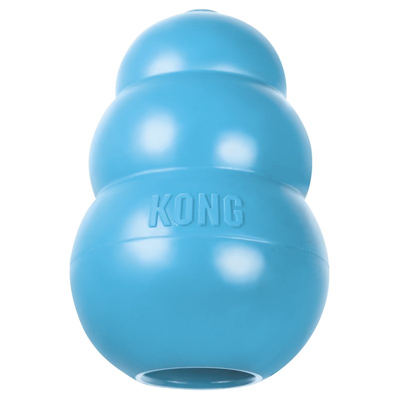 KONG Welpenspielzeug - blau zu TOP-Preisen