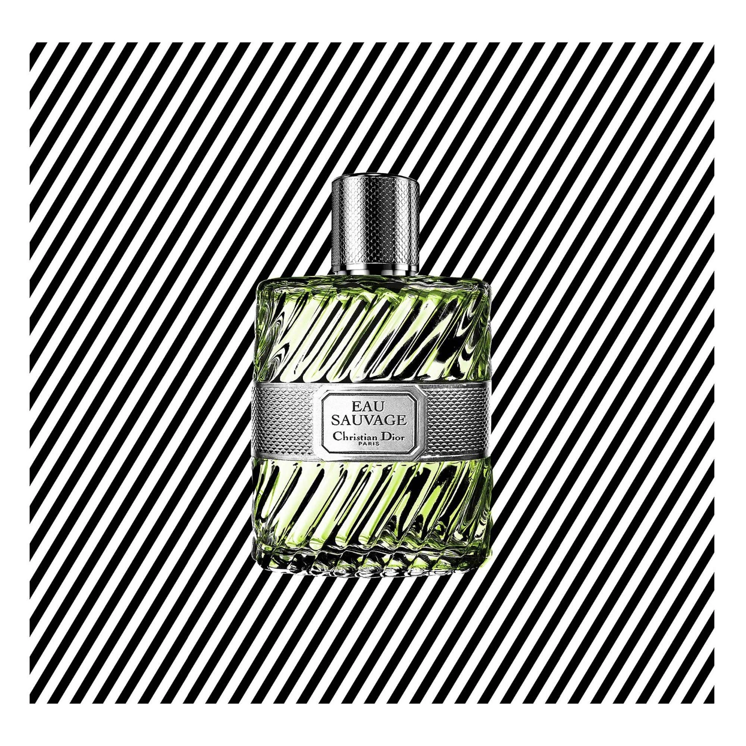 DIOR Wild Water