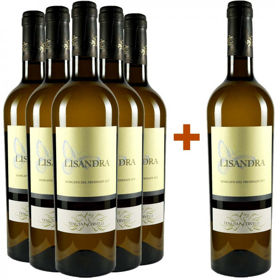 5+1 Paket Lisandra Moscato del Frusinate IGP - Tenuta Cervelli