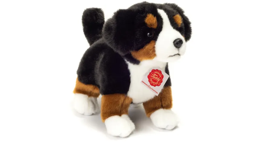 Teddy-Hermann - Berner Sennenhund Welpe stehend, 23 cm