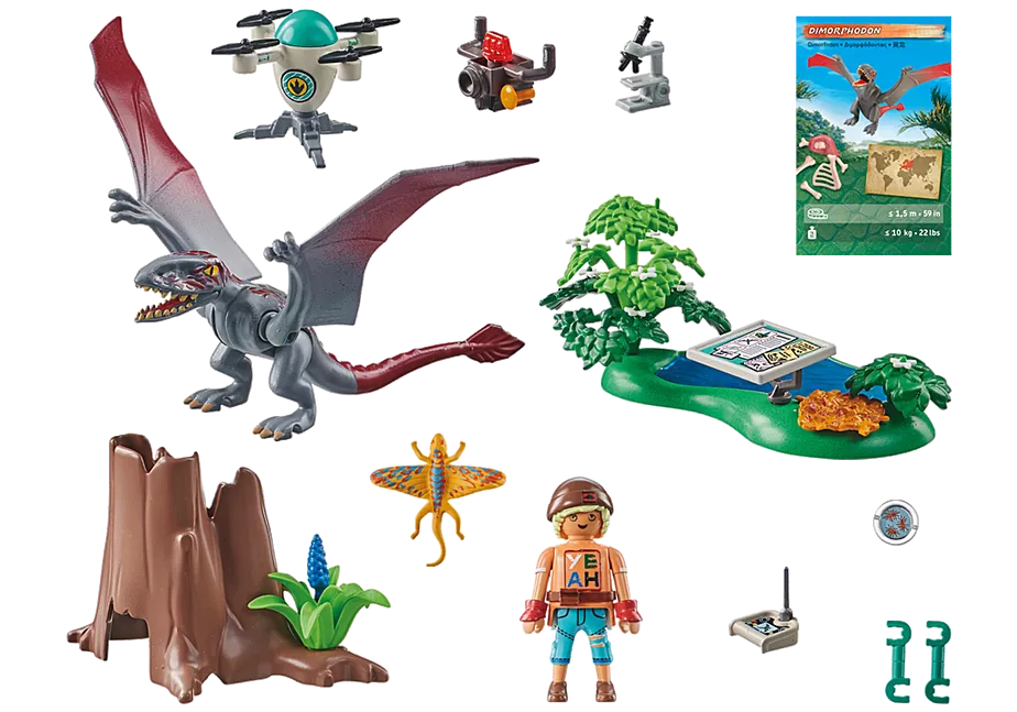 Beobachtungsstation f&uuml;r Dimorphodon