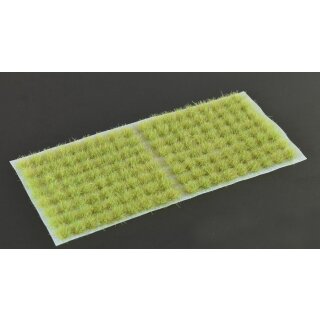 Light Green 6mm Small