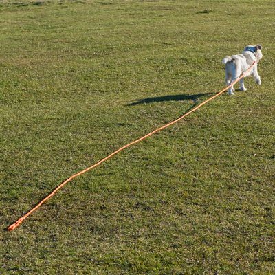 Sparset: Heim Feldleine Orange + Trixie Dog Activity Baggy Deluxe