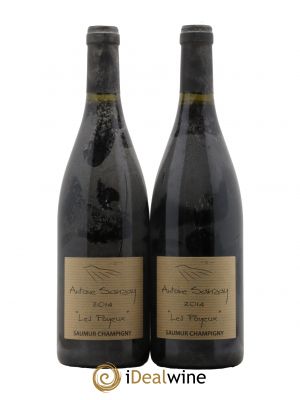 Saumur-Champigny Les Poyeux Antoine Sanzay  2014 - Lot de 2 Bouteilles