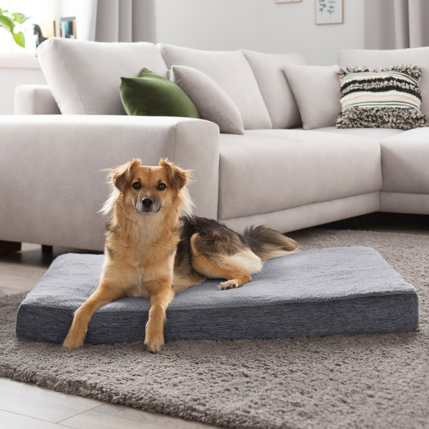 PETSTUFF Tierkissen Hundebett Hundematte Hundekissen Tierkissen, Vlies aus 100% Polyester, Tierbett, Bezug abnehmbar, rutschfest, Farb- und Größenwahl