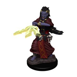 D&D Nolzur's Marvelous Miniatures - Night Hag & Dusk Hag
