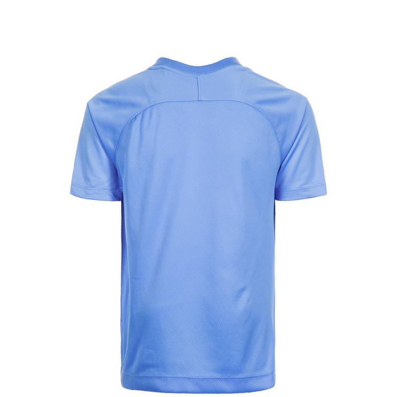 Nike Dry Striped Segment III Trikot Jungen