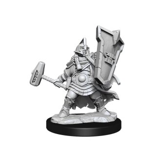 D&D Frameworks: Dwarf Cleric Female