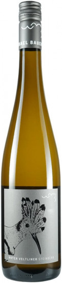 2022 Roter Veltliner Ried Steinberg trocken - Weingut Michael Bauer