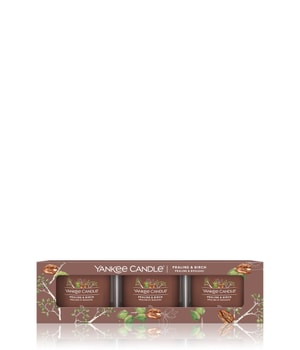 Yankee Candle Praline & Birch Signature 3 Pack Filled Votive Duftkerze-111 g