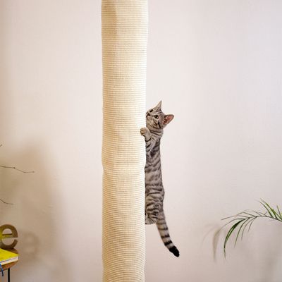 Kerbl Pet Klettersack Climber für Katzen