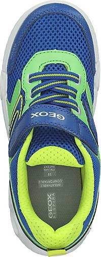 Geox Sneaker