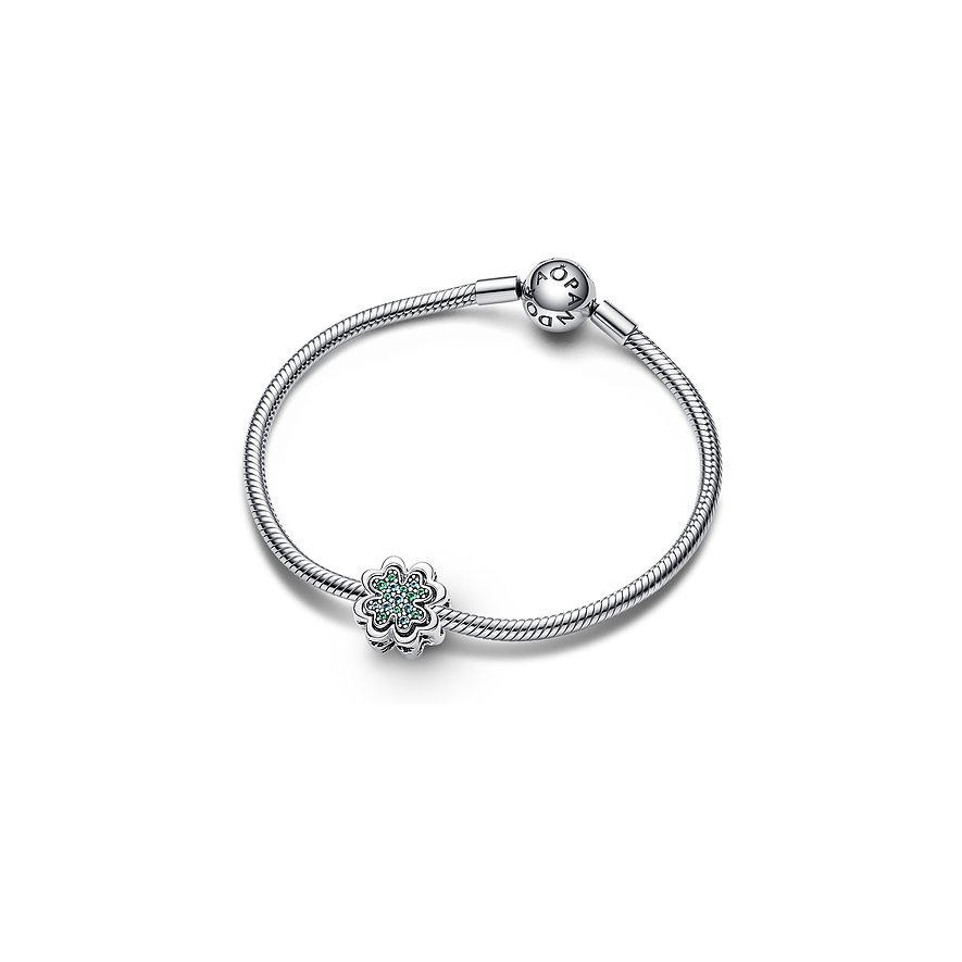 Pandora Charm Moments