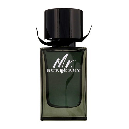 Burberry Mr. Burberry Eau de Parfum 150 ml