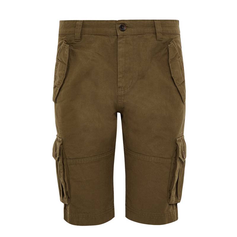Threadbare THBLugo Cargoshorts Herren
