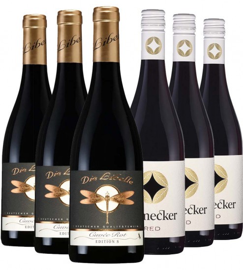 Rotweinpaket trocken - Mejs - die Weinspezialisten