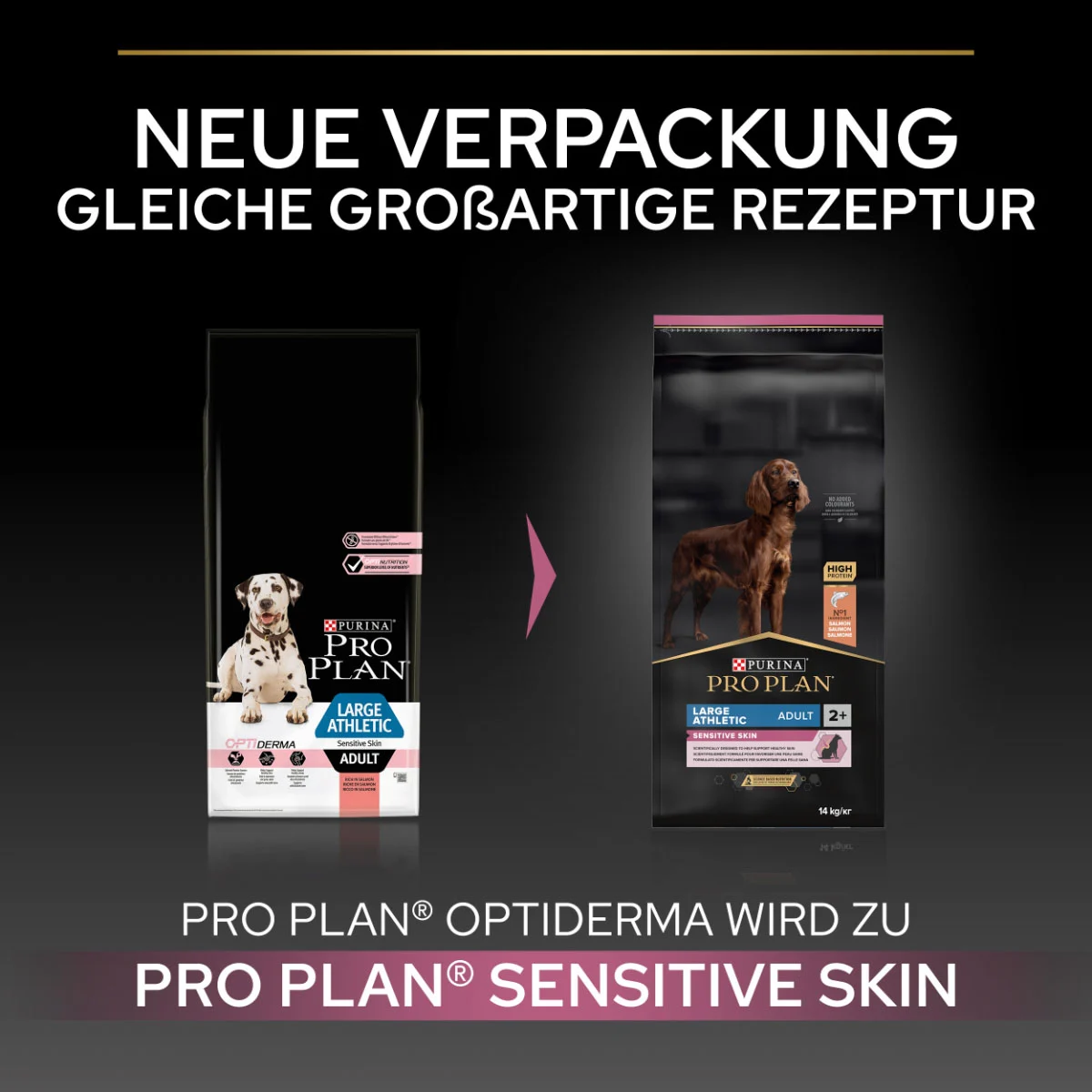 PRO PLAN Large Athletic Adult Sensitive Skin Lachs bei ZooRoyal