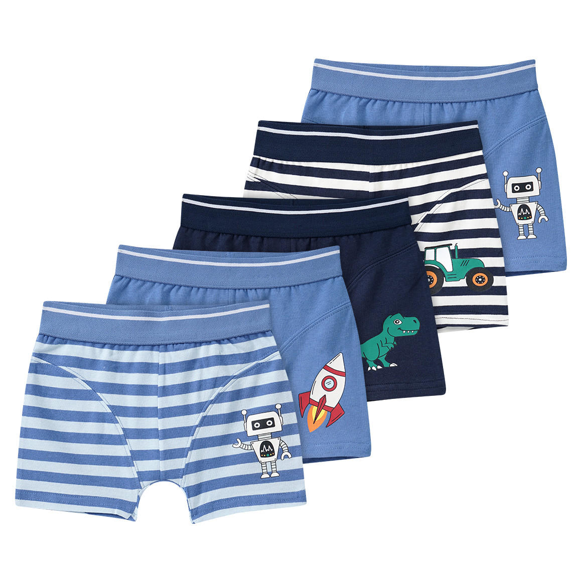 5 Jungen Boxer in verschiedenen Dessins