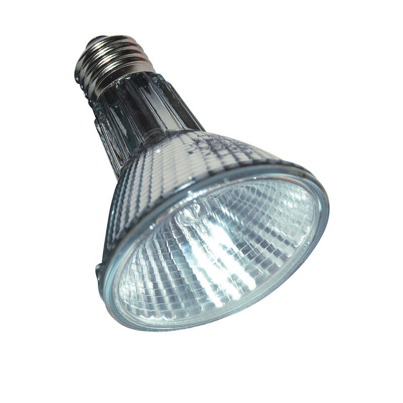 Lucky Reptile Beleuchtung Lucky Reptile Halogen Sun 75 W