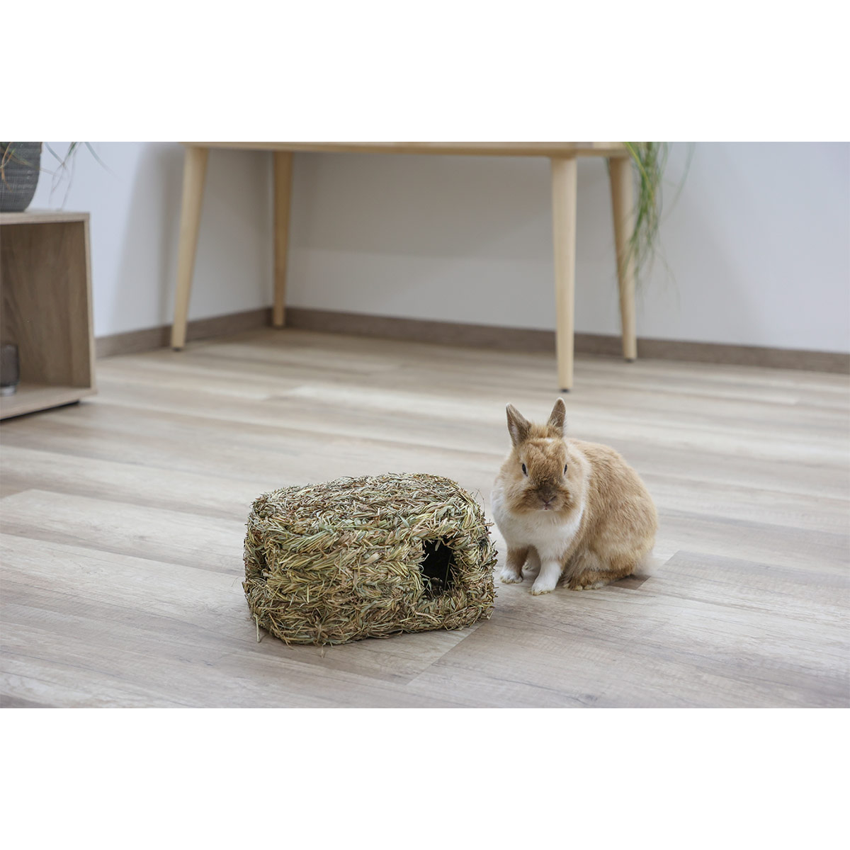 Kerbl Grashaus mit 2 Löchern, 28cm günstig kaufen