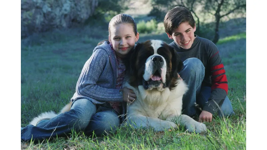 Ein Hund namens Beethoven - Komplettbox  [8 DVDs]