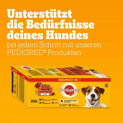 Pedigree Frischebeutel Multipack