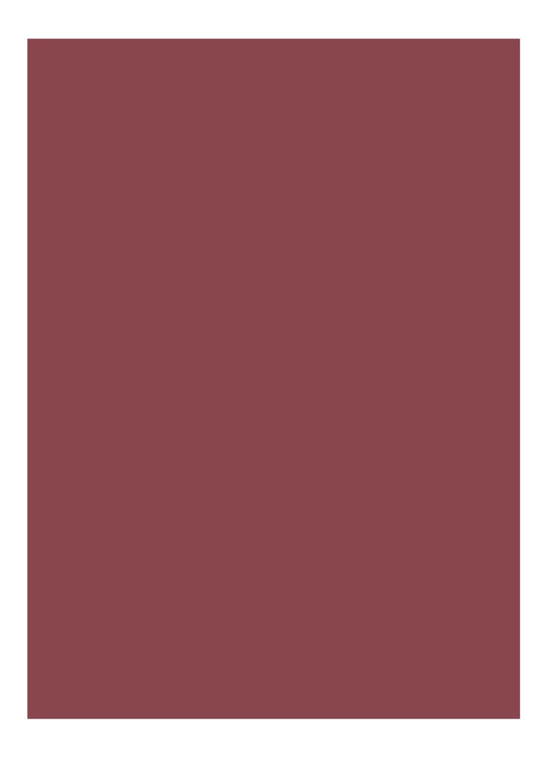 Bobbi Brown Luxe -huulipuna