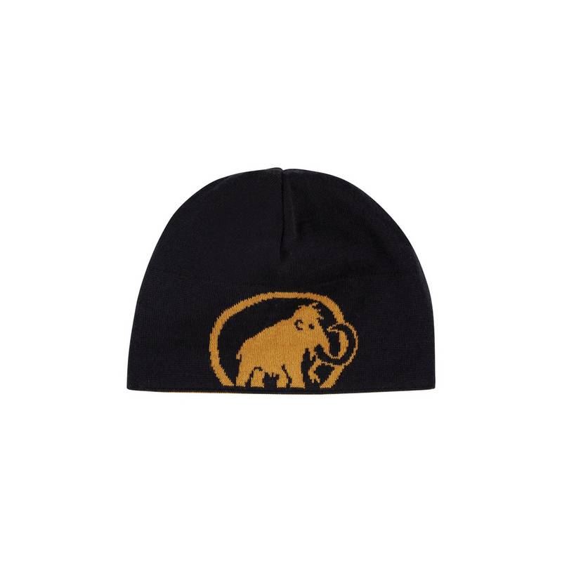 Mammut Mammut Logo Beanie