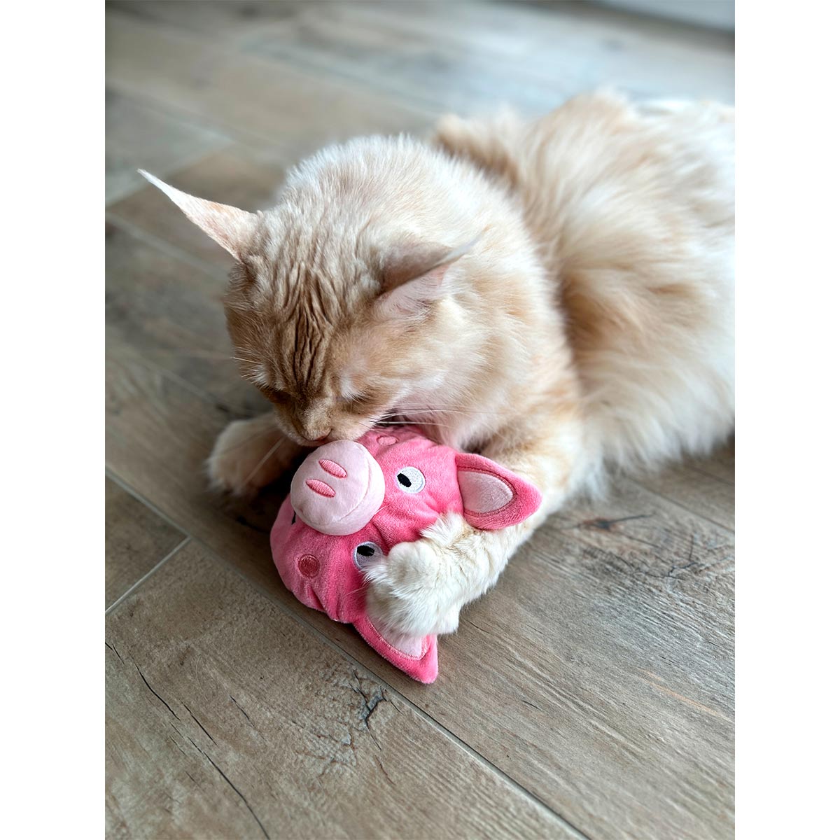 Aumüller Katzenspielkissen Schweinchen Peggy kaufen