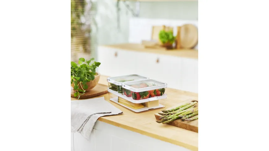 rotho Kühlschrank Organizer Set Cauma 3-tlg. Transparent