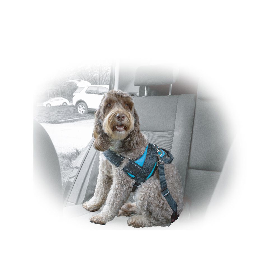 Hundegeschirr Größe L, von Norauto, 1 Stück - ATU