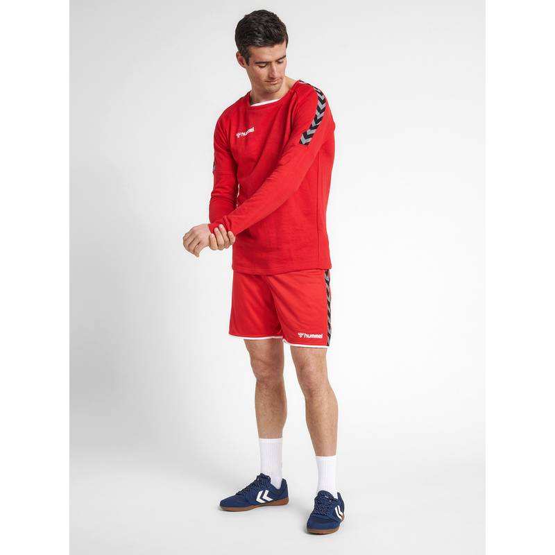hummel hmlAUTHENTIC TRAINING SWEAT Sweatshirt Herren