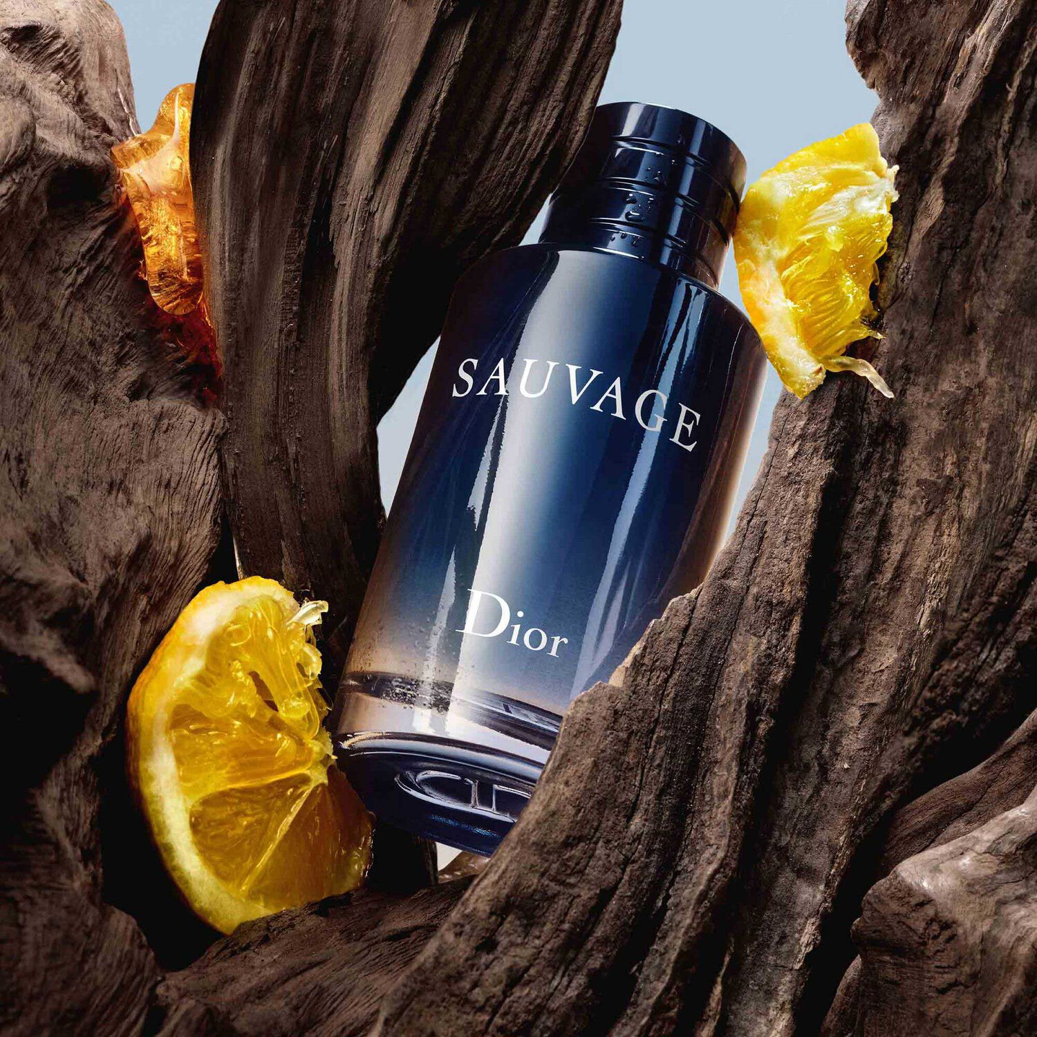 Dior Sauvage Eau de Toilette