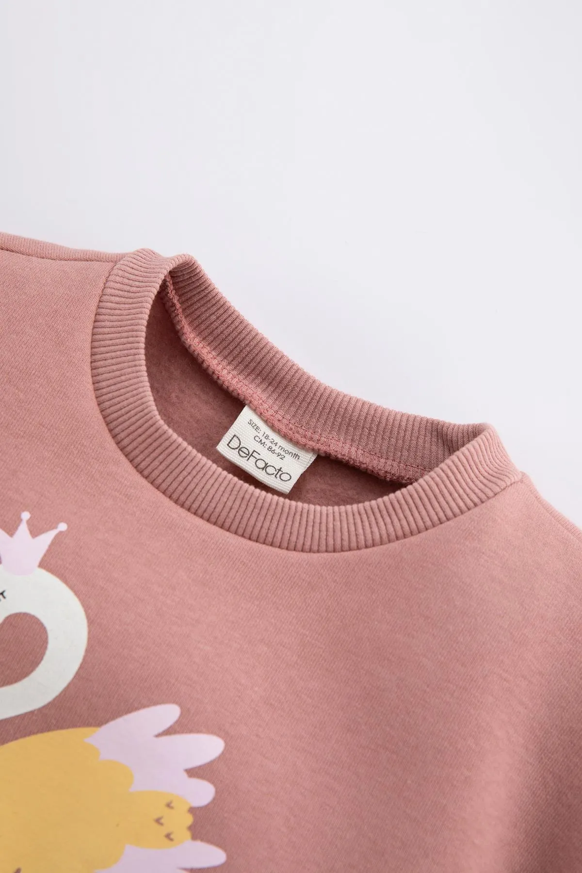 DeFacto  Rundhals-Sweatshirt mit Schwanen-Print für Baby-Mädchen