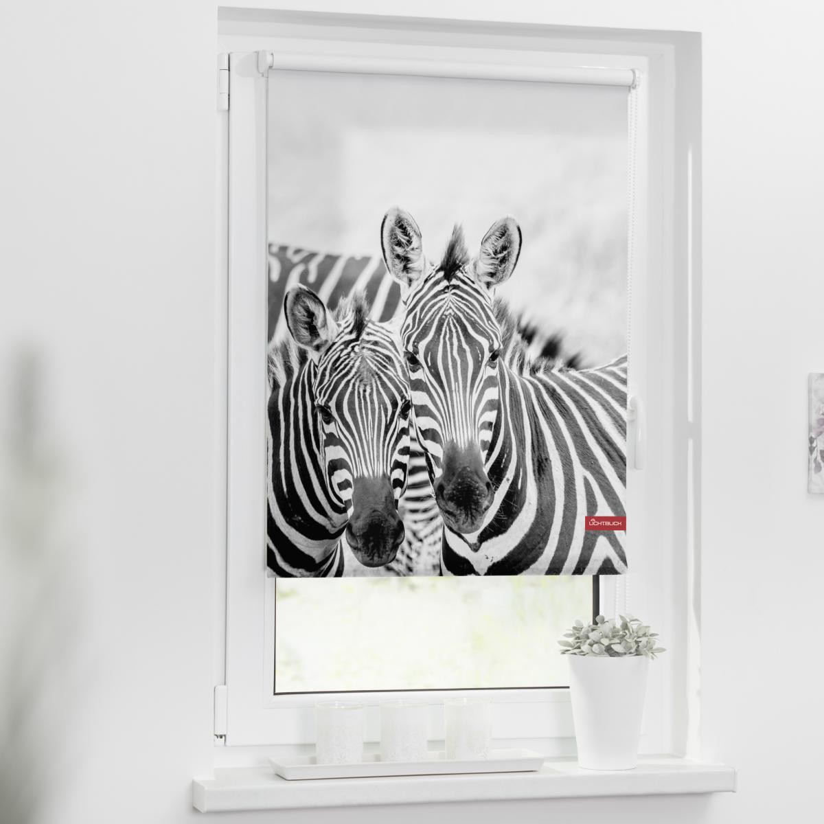 Lichtblick Rollo Klemmfix, ohne Bohren, blickdicht, Zebra - Weiß Türkis, 45 cm x 150 cm (B x L)