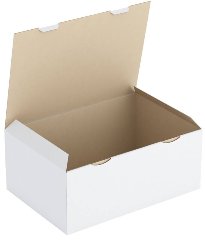 RAJA Versandkarton 1-wellig Pappe 300 (B) x 180 (T) x 430 (H) mm Weiß 50 Stück