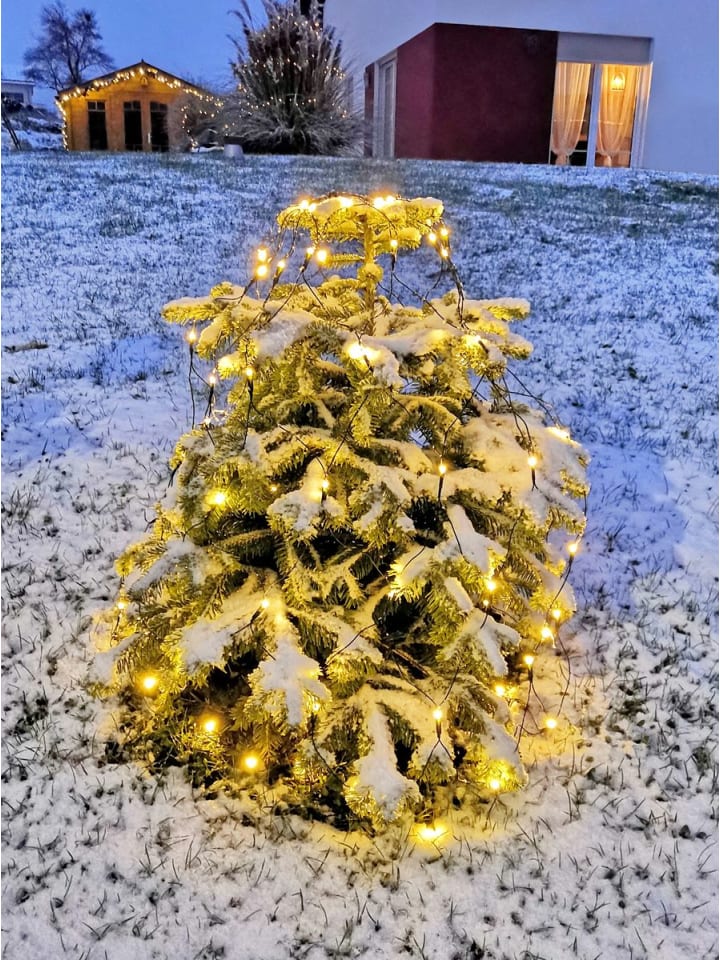 Coen Bakker 160 LED Trapez Kegel Lichterkette Netz 130 - 170cm in Warmweiß günstig kaufen onesize