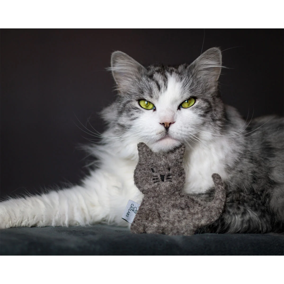 CATLABS Katzenspielzeug Kuschelige Katze kaufen