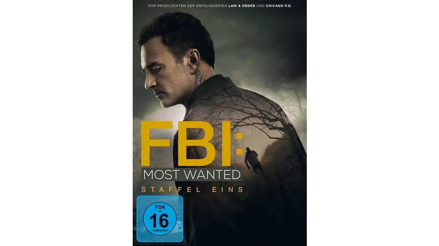 FBI: Most Wanted - Staffel 1  [4 DVDs]