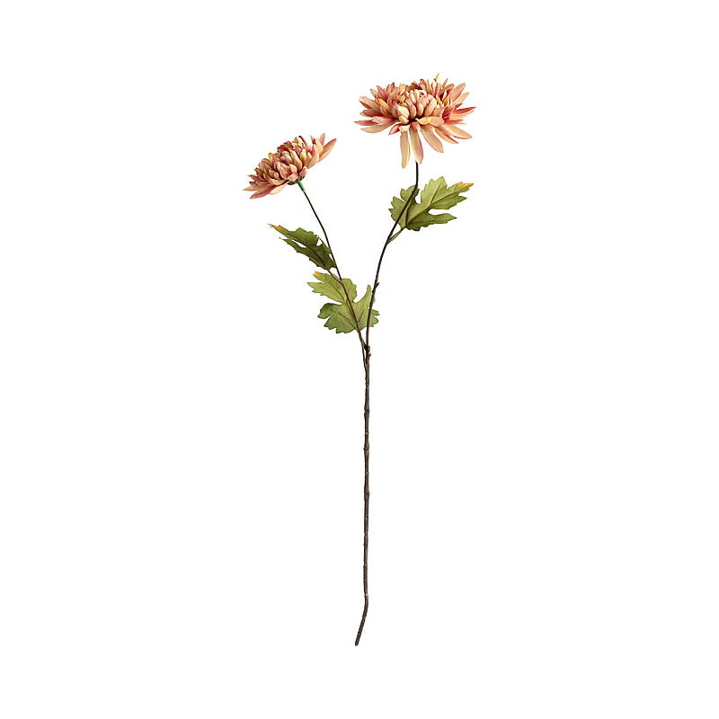 Home Krysantemum 56 cm duo