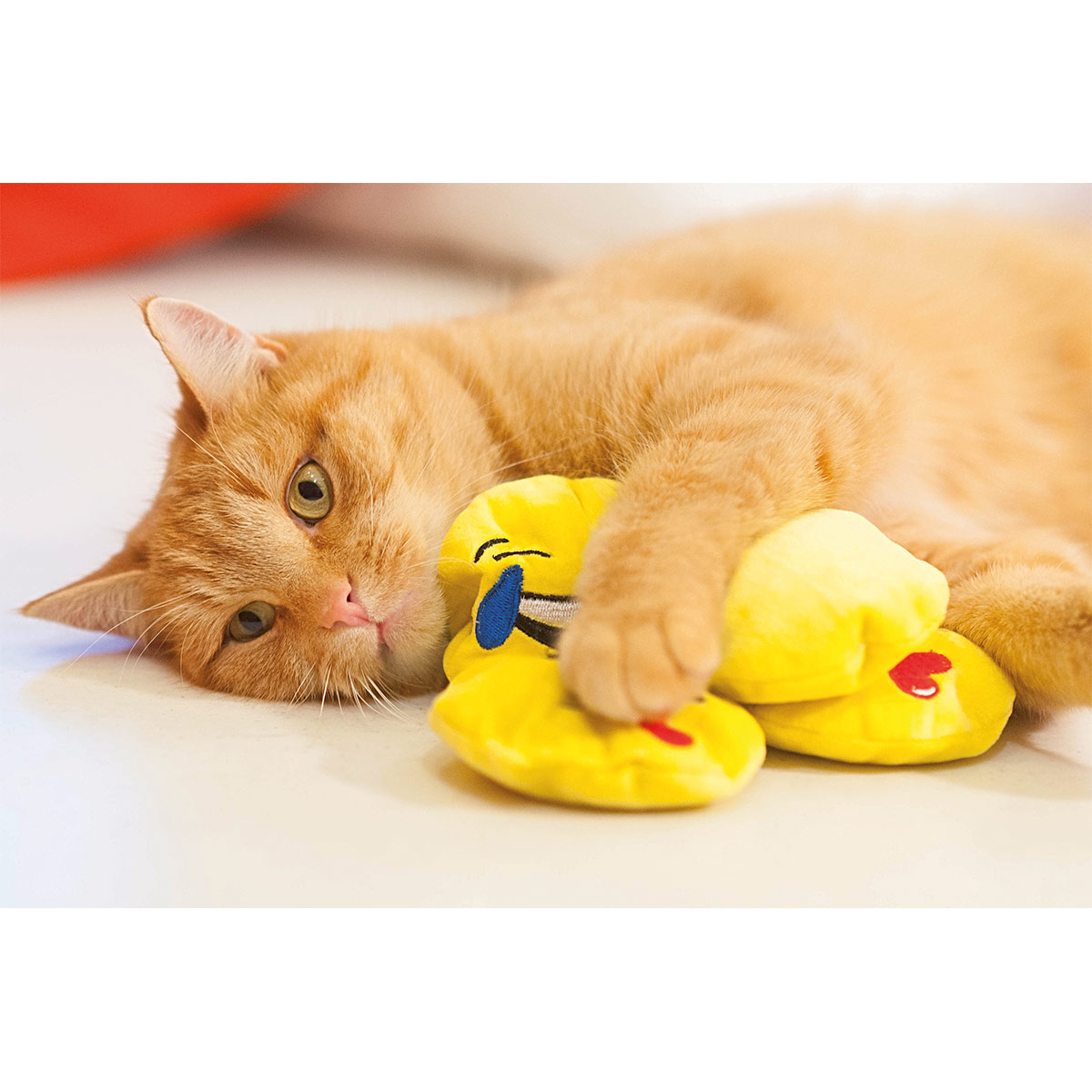 Aumüller Katzenspielkissen Emojis, 2er Set kaufen