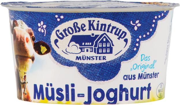 Große Kintrup Birchermüsli-Joghurt