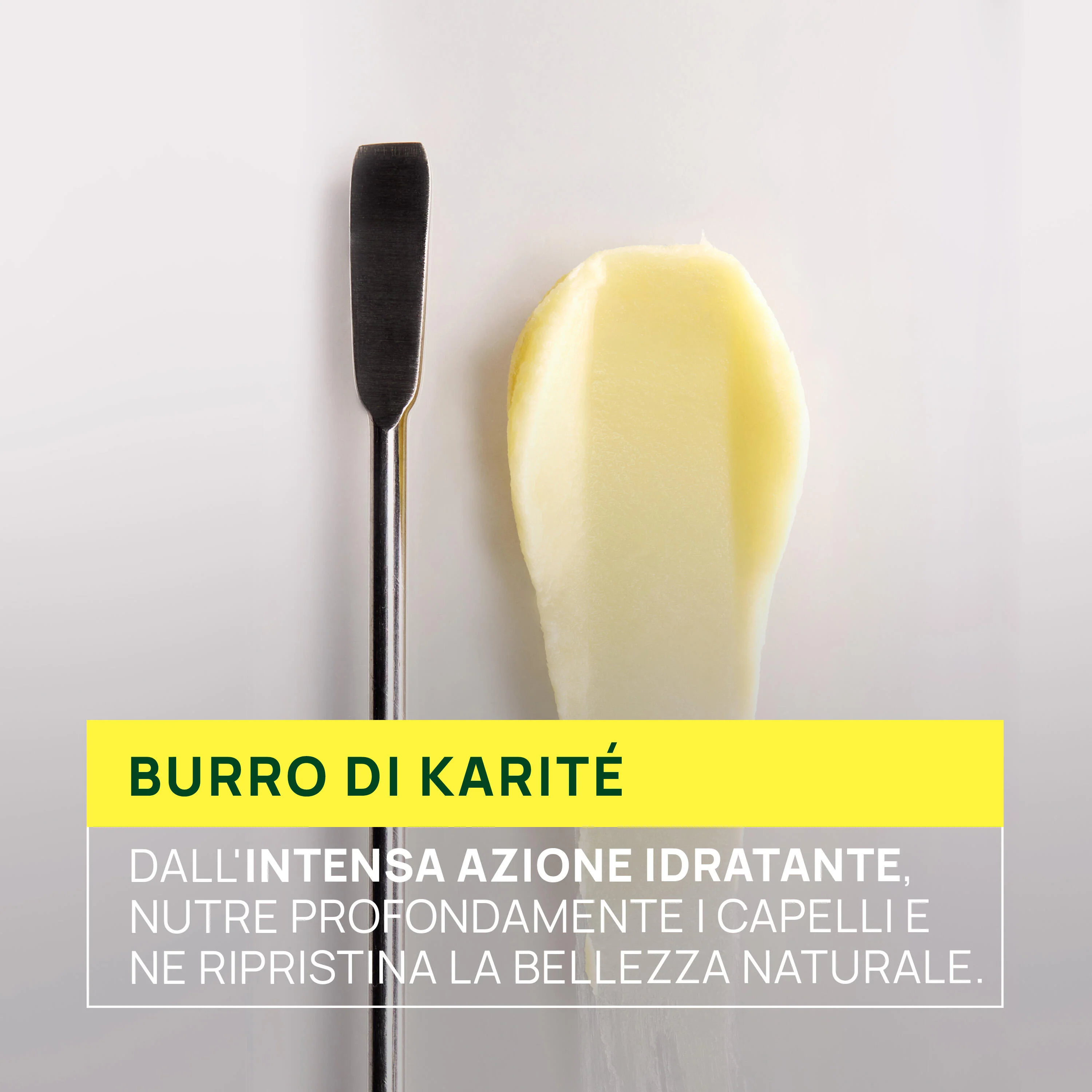 Karité Hydra Shampooing Disciplinant Hydratant - nježni šampon, osvjetljavajući šampon